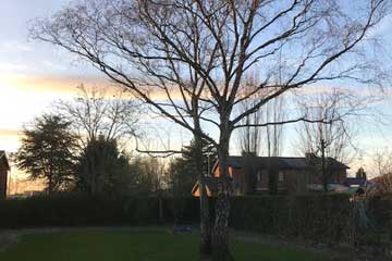 Renovatie werken gestart